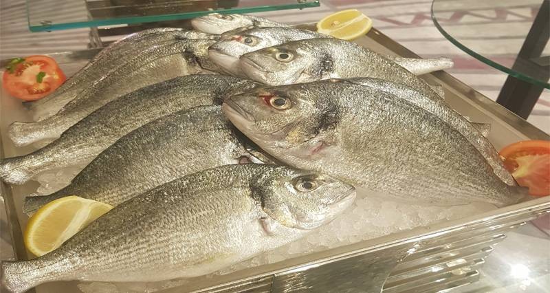 استزراع أسماك &laquo;الكوفر الأوروبي&raquo; فـي المياه المستملحة