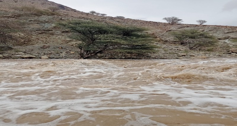 &laquo;منخفض الوبل&raquo;: أمطار متفاوتة الغزارة على المحافظات الشمالية وجريان عدد من الأودية