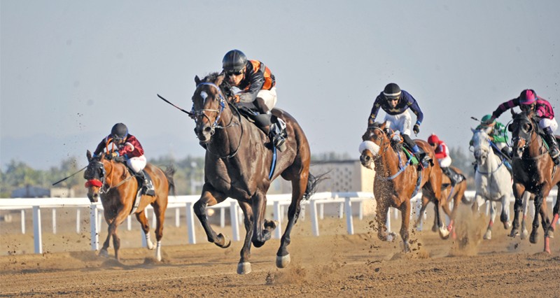 ثمانية أشواط مثيرة شهدها سباق الخيل الثامن عشر ببركاء