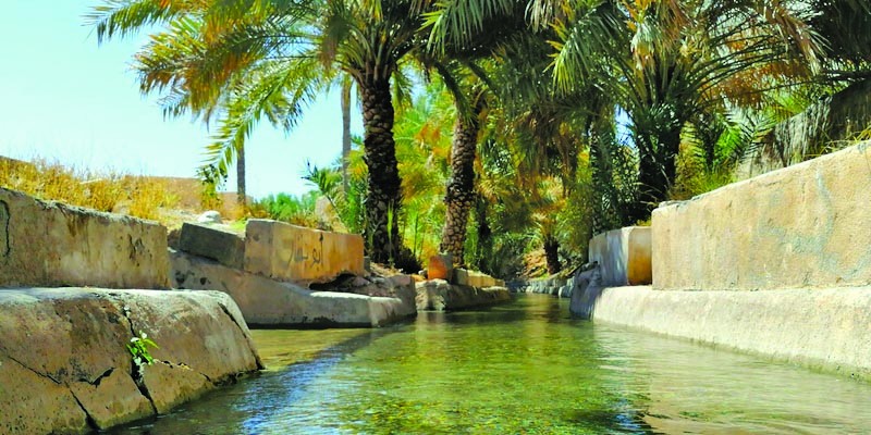 كرسي اليونسكو لدراسات الأفلاج ينفذ عددا من المشروعات البحثية