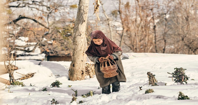 عدسات عمانية توثق شتاء جامو وكشمير