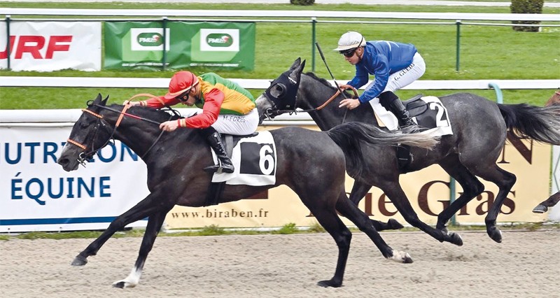 منارة للخيالة السلطانية يفوز بالمركز الأول بمضمار باو الفرنسي