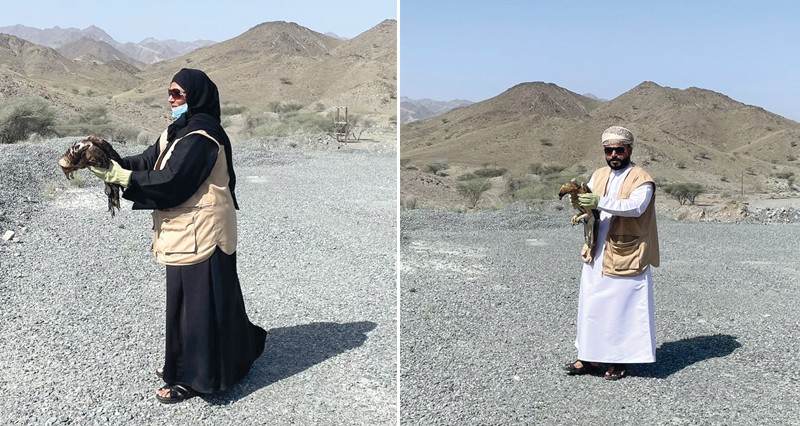 إطلاق طائري عقاب &laquo;العسل&raquo; و&laquo;بونيلي&raquo; بالرستاق