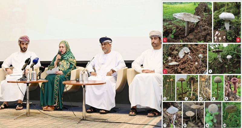 اكتشاف فطريات تسجل لأول مرة فـي سلطنة عمان وشبه الجزيرة العربية
