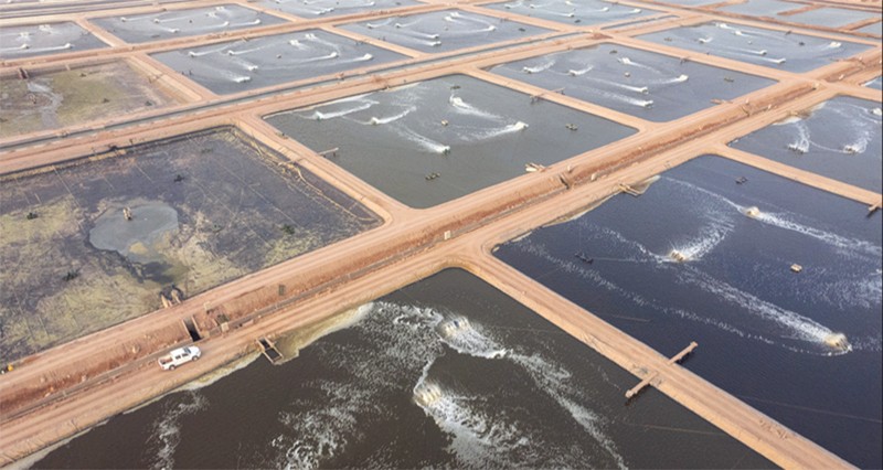 جهاز الاستثمار العماني يشرع فـي دمج شركتي &laquo;نتاج&raquo; و&laquo;تنمية أسماك عمان&raquo;