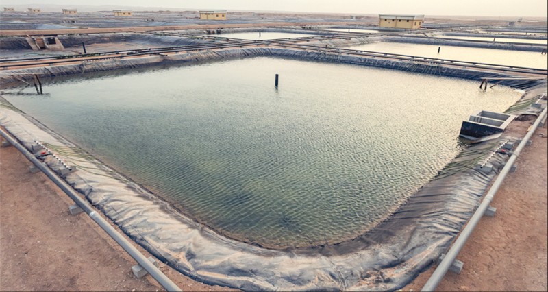 جهاز الاستثمار العماني يشرع فـي دمج شركتي &laquo;نتاج&raquo; و&laquo;تنمية أسماك عمان&raquo;