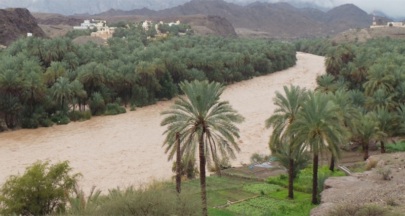 أمطار متفاوتة الغزارة بالعامرات والرستاق والعوابي ونخل