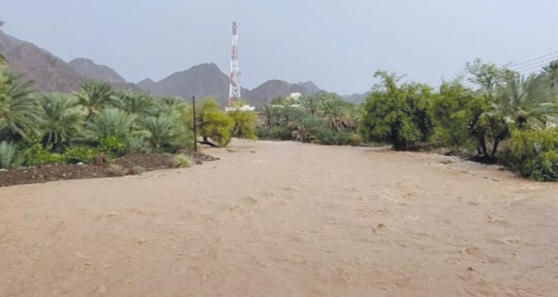 أمطار متفاوتة الغزارة بالعامرات والرستاق والعوابي ونخل