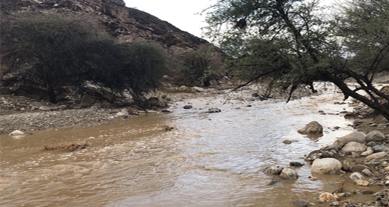 أمطار متفاوتة الغزارة بالعامرات والرستاق والعوابي ونخل