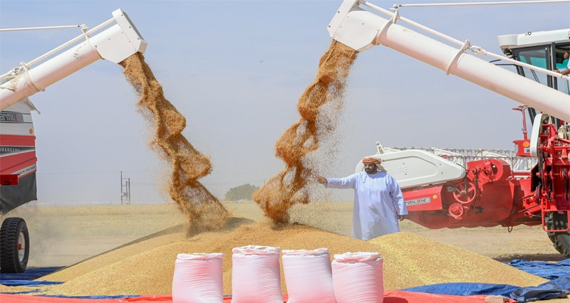 1.5% تراجعا فـي الأرقام القياسية لأسعار الواردات فـي سلطنة عمان بنهاية الربع الثاني