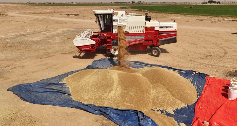 1.5% تراجعا فـي الأرقام القياسية لأسعار الواردات فـي سلطنة عمان بنهاية الربع الثاني