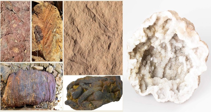 &laquo;التراث والسياحة&raquo; تصدر كتيب بيانات المجموعة الوطنية للأحافير