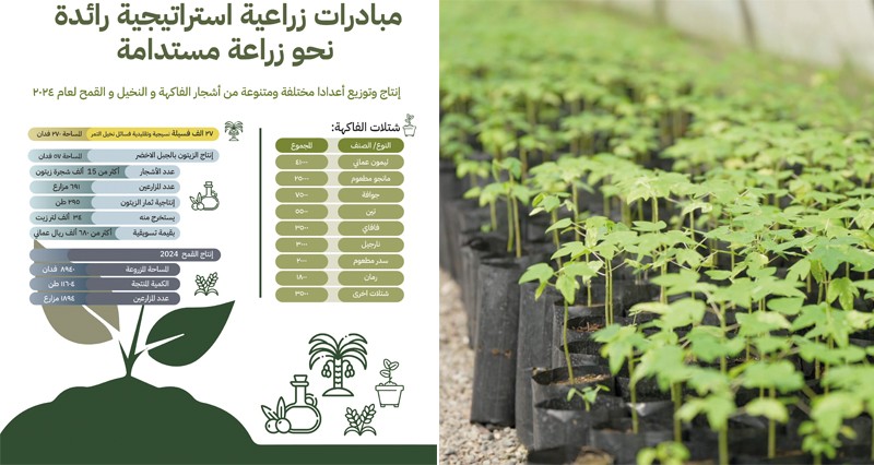 &laquo;الثروة الزراعية والسمكية وموارد المياه&raquo; توزع 118 ألف شتلة لتعزيز الأمن الغذائي