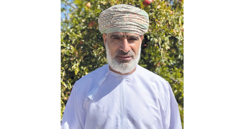 مبيعات رمان الجبل الأخضر تتجاوز مليونا و500 ألف ريال عماني