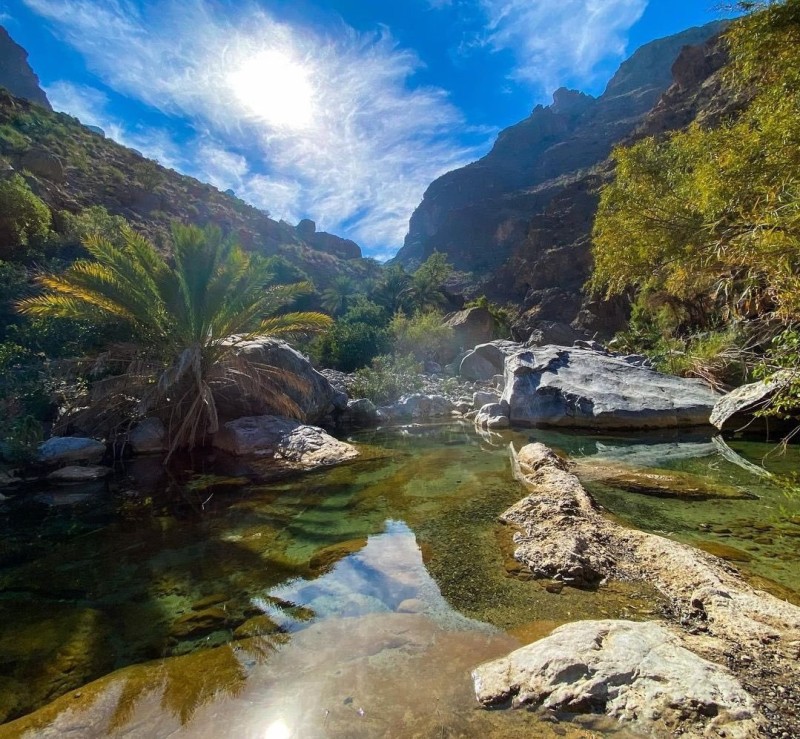 قرية العلياء بالعوابي احدى أبرز الوجهات السياحية في الولاية