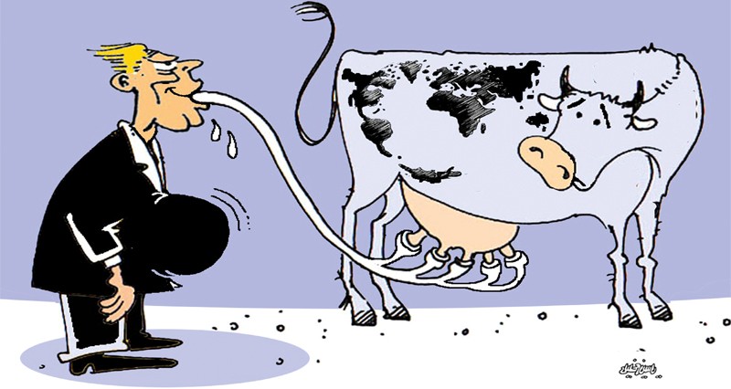 كاريكاتير الوطن