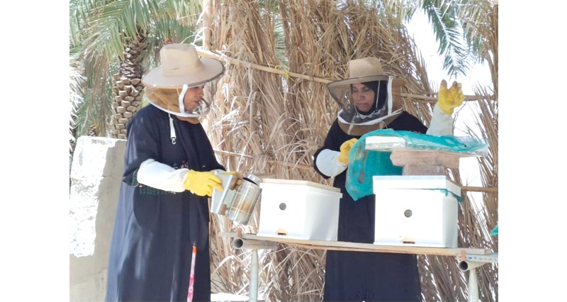 دعم المنتجات الزراعية للمرأة الريفية بعبري