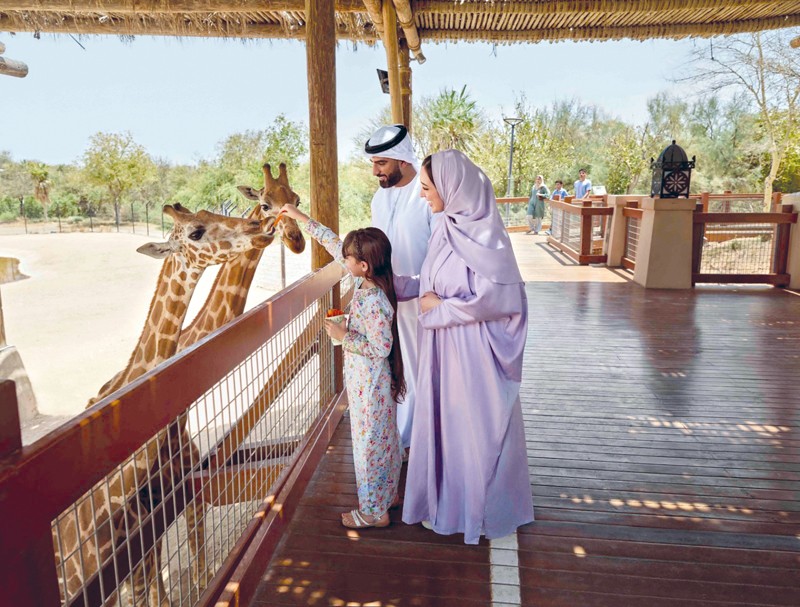 مدينة العين ..وجهة مفضلة للاستجمام وتوفر مغامرات استثنائية