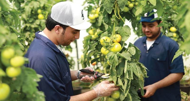 &laquo;التعليم العالي&raquo; تعتمد مجموعة من السياسات والبرامج لمواكبة المتغيرات ومتطلبات التنمية