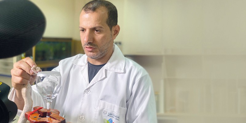 توثيق &laquo;الصل الأسود&raquo; لأول مرة فـي سلطنة عمان