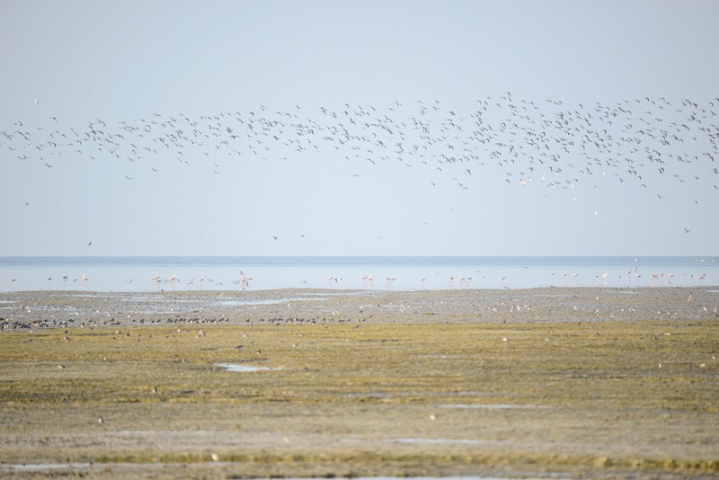 جهود حثيثة للحفاظ على التوازن البيئي فـي سلطنة عمان