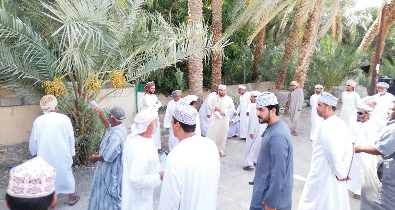 طناء النخيل.. انخفاض الأسعار فـي نخل وإقبال واسع بعبري