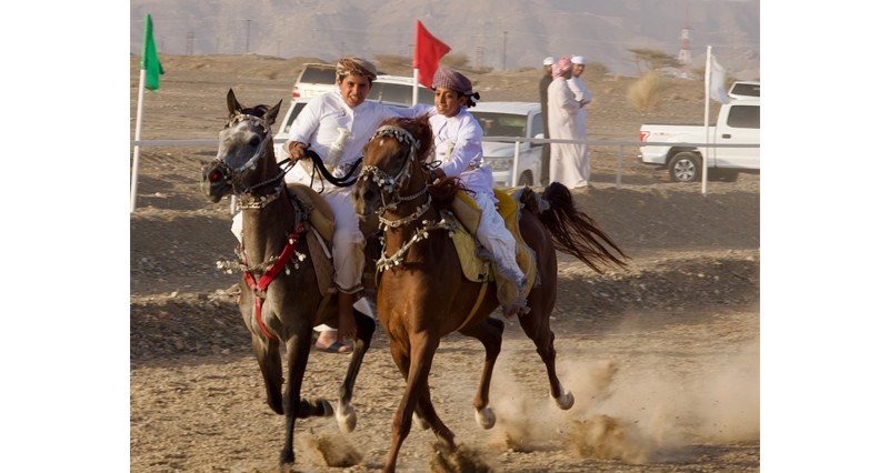 فنون شعبية واستعراضـــــات الخيل ببلدة الدريز