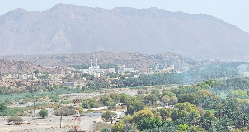 البويرد .. واحة زراعية غناء فـي بدبد