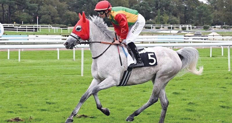 الفرس &laquo;الريم&raquo; للخيالة السلطانية تفوز بالمركز الأول على مضمار لاتيست الفرنسي