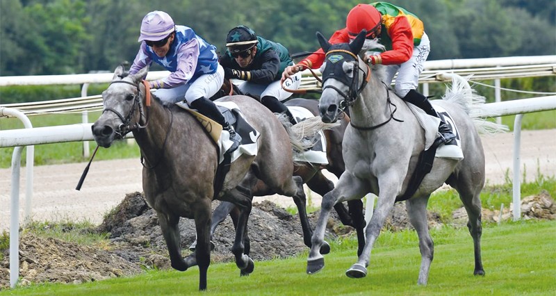 الفرس &laquo;الريم&raquo; للخيالة السلطانية تفوز بالمركز الأول على مضمار لاتيست الفرنسي