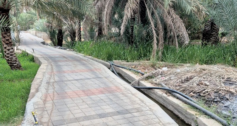 ممشى بجهود أهلية فـي &laquo;الهجر&raquo; بعبري