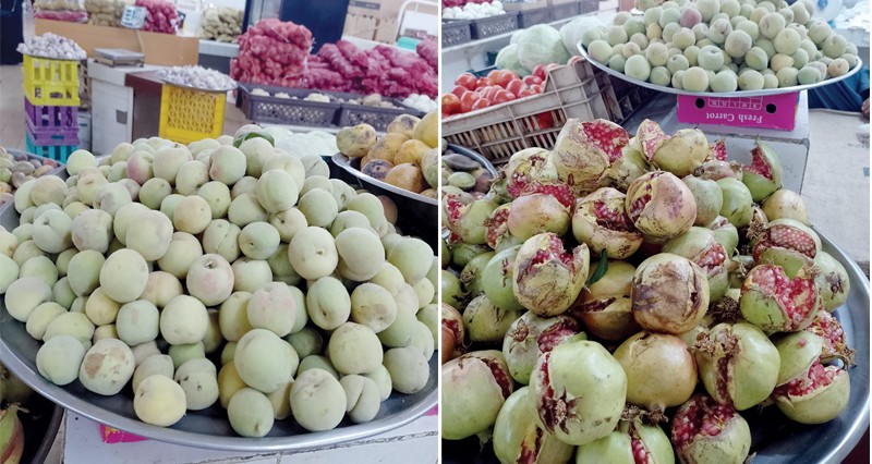 بدء موسم الرمان والخوخ بالجبل الأخضر