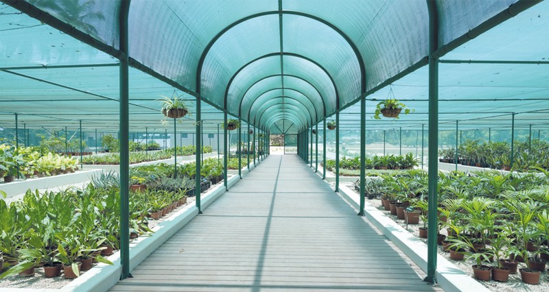 بناء على الأوامر السامية.. افتتاح المسار السياحي بمزرعة رزات السلطانية غدا