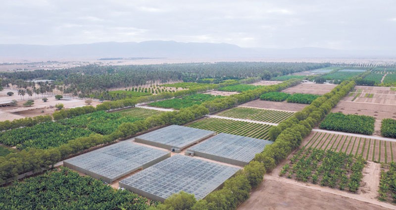 بناء على الأوامر السامية.. افتتاح المسار السياحي بمزرعة رزات السلطانية غدا