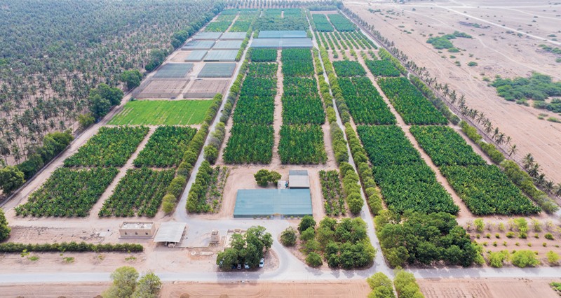 بافتتاح مسارها السياحي .. مزرعة رزات السلطانية تستقبل زوارها