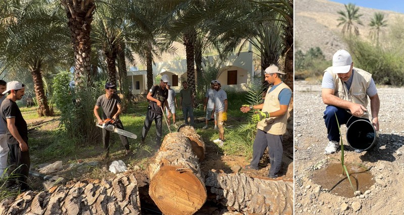 معسكر للخدمة العامة ومكافحة سوسة النخيل فـي بهلاء