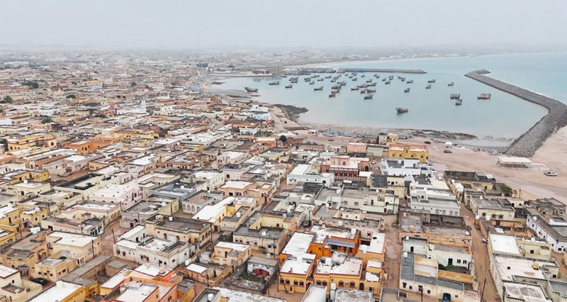 طرح مناقصة لتقديم دراسة استشارية لمدينة الصناعات السمكية بجنوب الشرقية