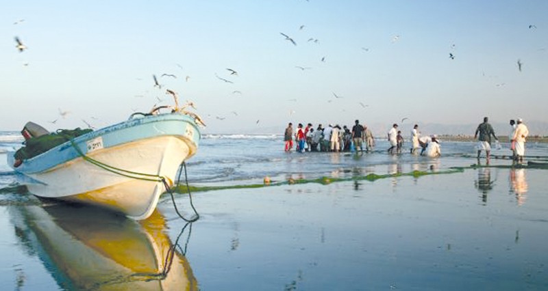 طرح مناقصة لتقديم دراسة استشارية لمدينة الصناعات السمكية بجنوب الشرقية