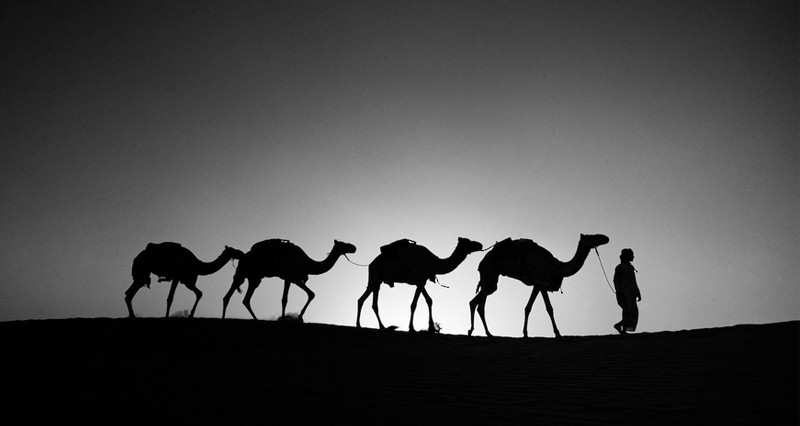 المصور علي الغافري: الكاميرا جسر يربطني بالناس وحكاياتهم