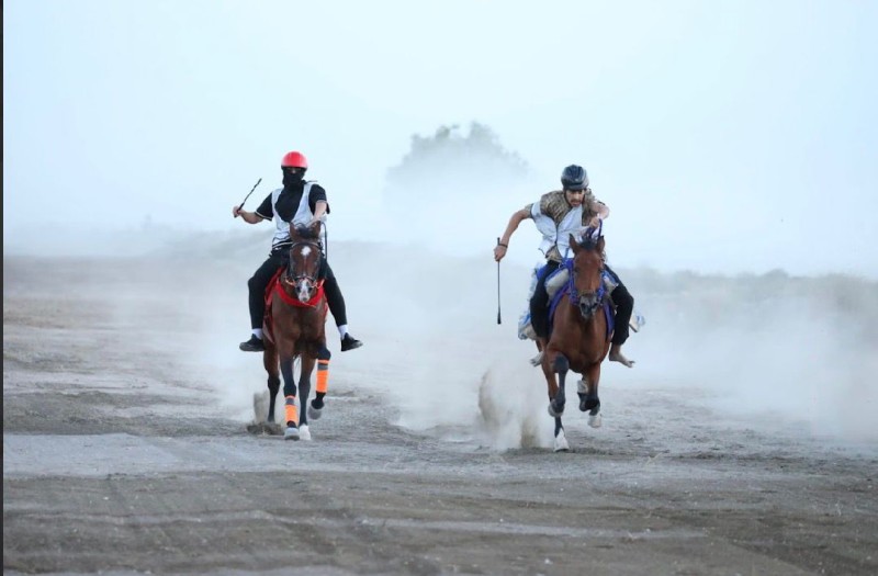 لجنة الفروسية بشناص تنظم سباق الخيل التأهيلي