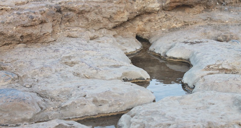 عيون مائية كبريتية يقصدها الزوار والسائحون فـي نزوى