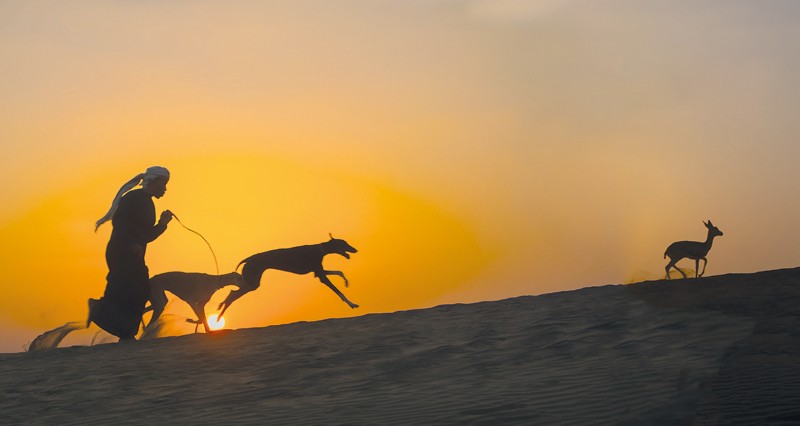 إنجاز عماني فـي &laquo;بينالي الشباب الدولي للتصوير الضوئي&raquo; بالمنامة