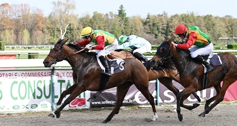 تتويج &laquo;صوارم&raquo; و&laquo;الريم&raquo; فـي مضمار باو الفرنسي