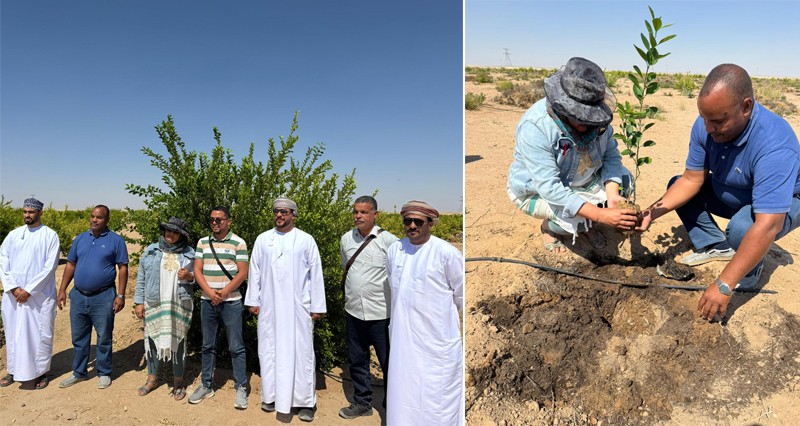 خبراء جزائريون يطلعون على التجارب العمانية الرائدة فـي تنمية القطاع الزراعي