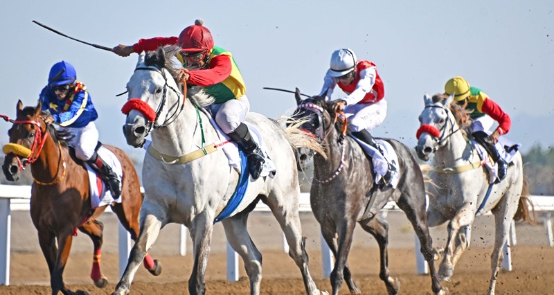 &laquo;مضمون&raquo; بطلا للإنتاج المحلي و&laquo;أر بي بلاست أوف&raquo; يتوج بكأس الخيول العربية الأصيلة و&laquo;ليبيان كلاسيك&raquo; يتوج بكأس الخيول المهجنة الأصيلة