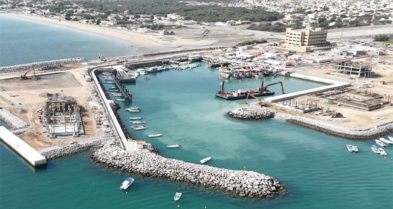 572.2 مليون ريال عماني.. قيمة الناتج المحلي الزراعي والحيواني بالأسعار الثابتة خلال العام 2024