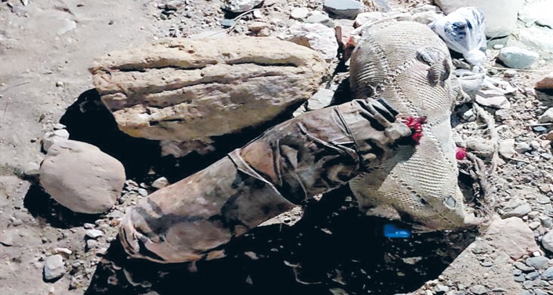 صيد جائر بنطاق إحدى مناطق صون الطبيعة جنوب الشرقية