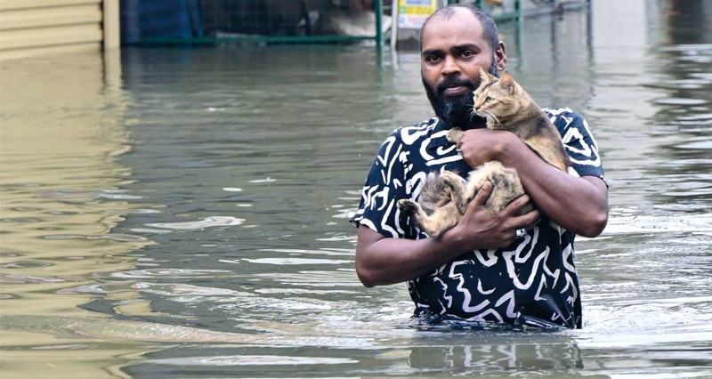 عمليات تنظيف فـي تايلاند وإندونيسيا وسريلانكا بعد فيضانات عارمة