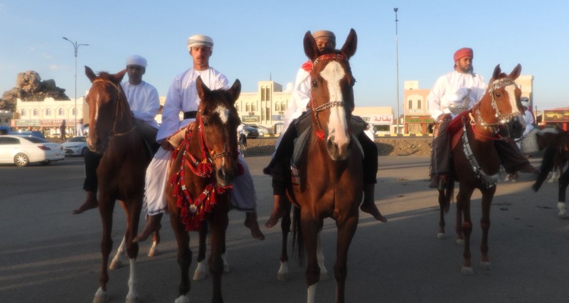 مسير وطني على ظهور الجياد فـي ينقل