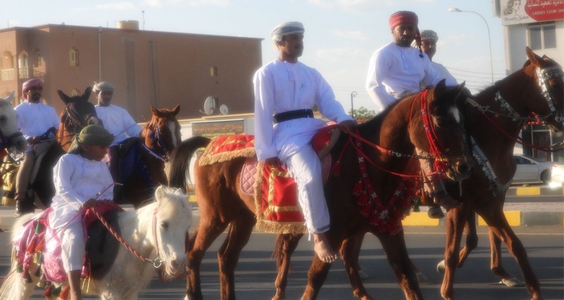 مسير وطني على ظهور الجياد فـي ينقل